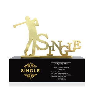 메탈크리스탈트로피hs204