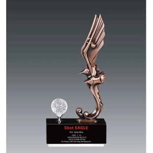 청동트로피hs516