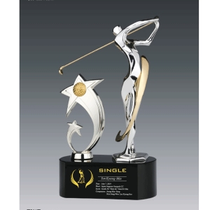 크롬블랙크리스탈트로피hs517