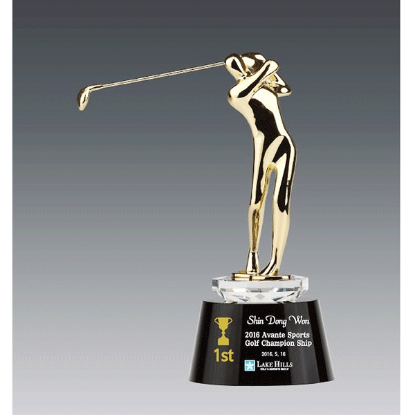 메탈크리스탈트로피hs532