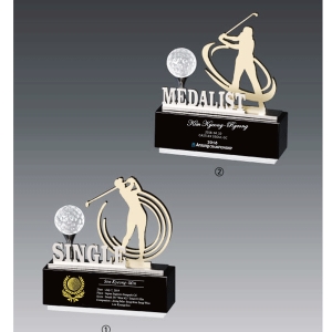 메탈크리스탈트로피hs537