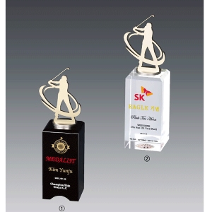 메탈크리스탈트로피hs538