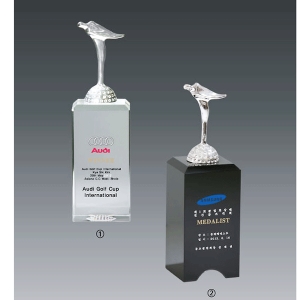 크롬블랙크리스탈트로피hs541