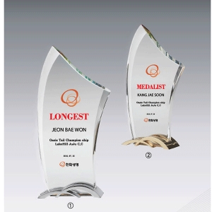 크롬크리스탈트로피hs543