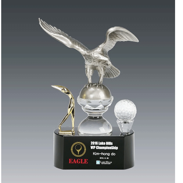 주석트로피hs554