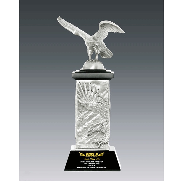 주석트로피hs555