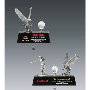 주석트로피hs559