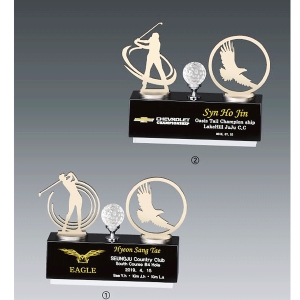 메탈크리스탈트로피hs560