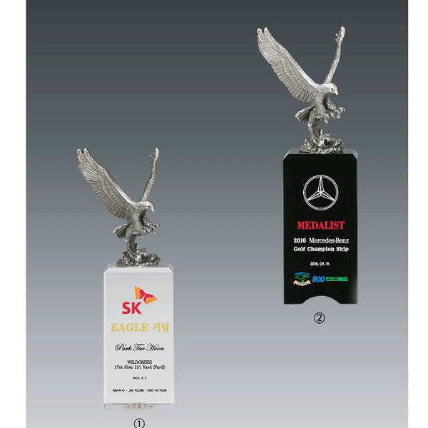 주석트로피hs565