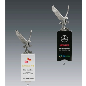 주석트로피hs565