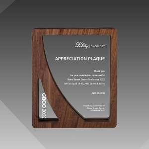 우드&크리스탈상패hs114