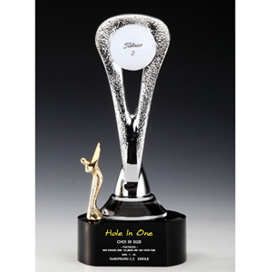 크롬골프트로피AT007