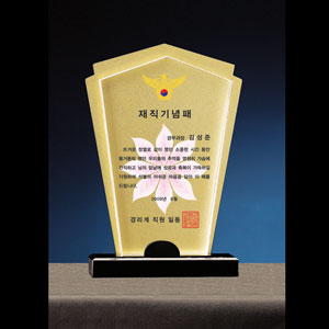 크리스탈상패B116-1