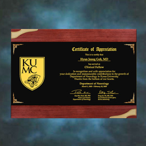 메탈우드상패CRT-307